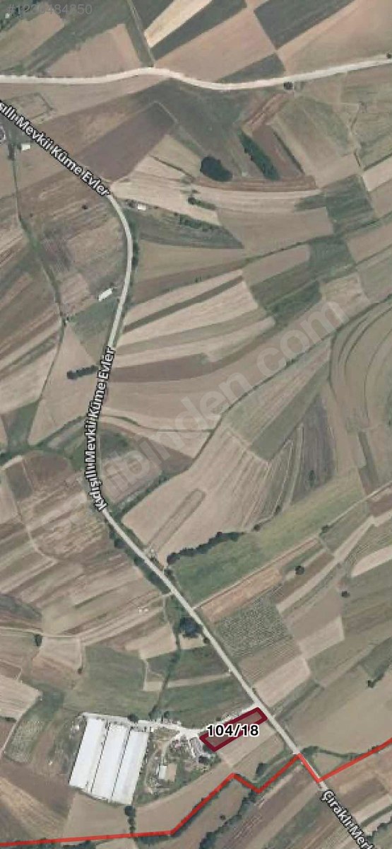 Fotoğraf